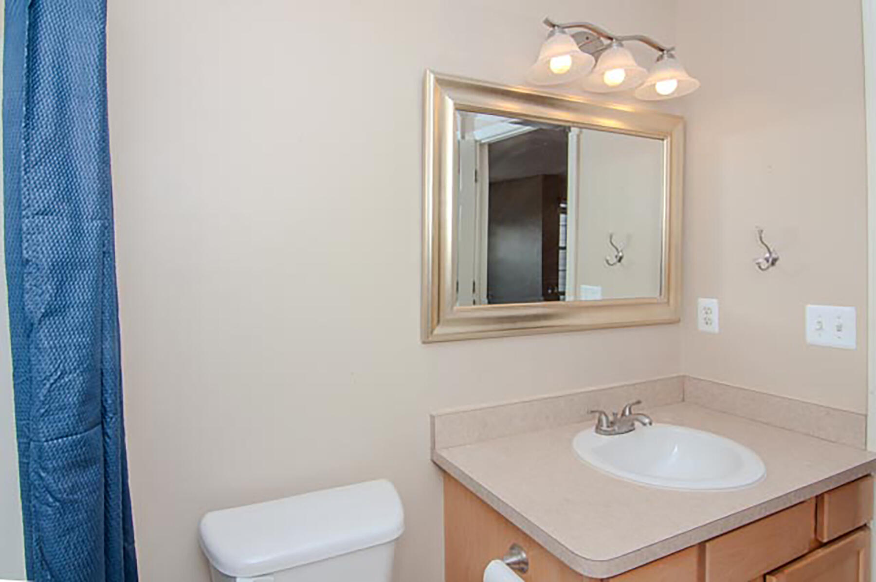 448 Cherry Orchard Road Canton, MI 48188 - Photo 46 of 54 046