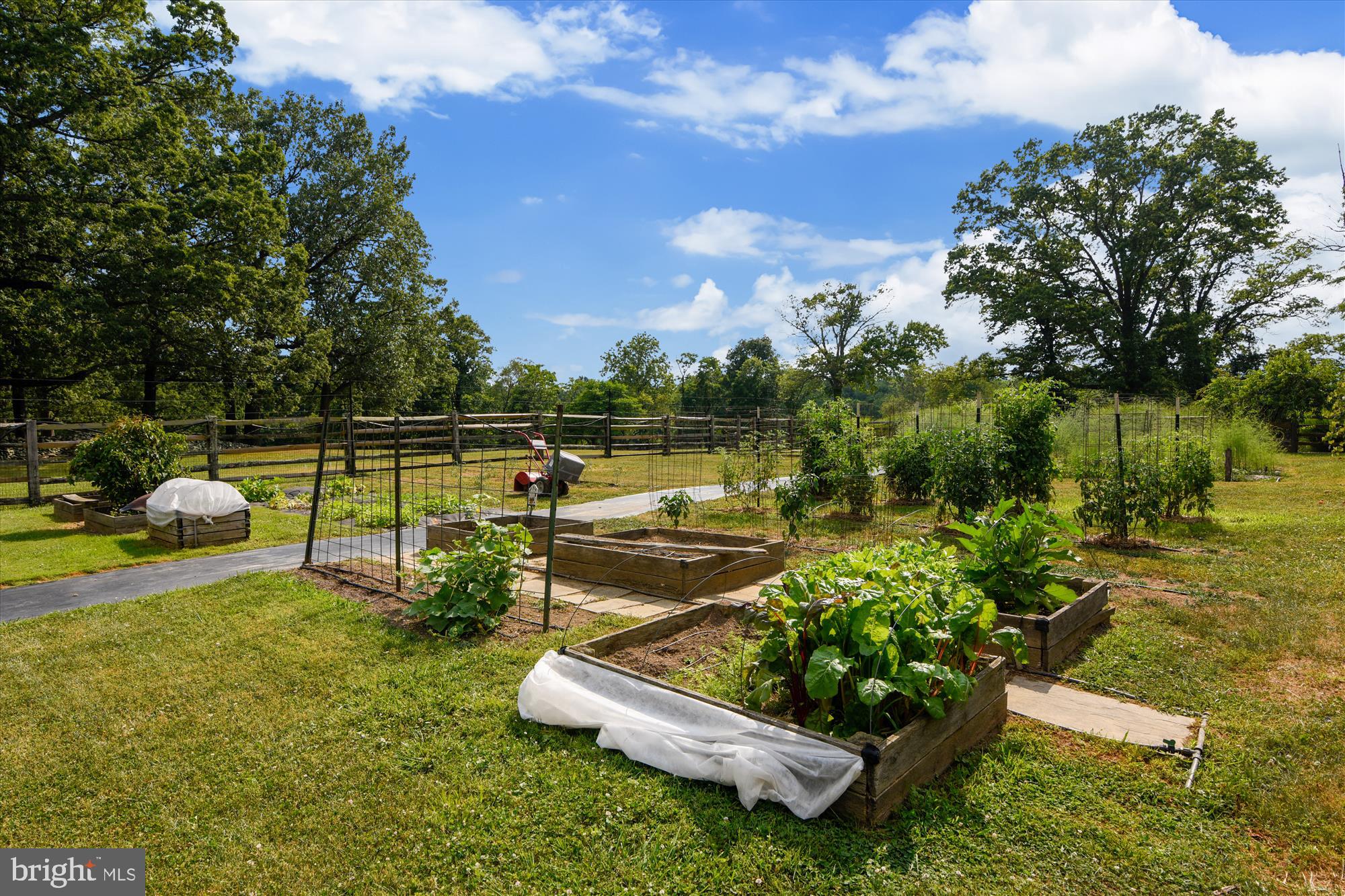 1276 Delaplane Grade Road Upperville, VA 20184 - Photo 48 of 57 Gallery Image 48