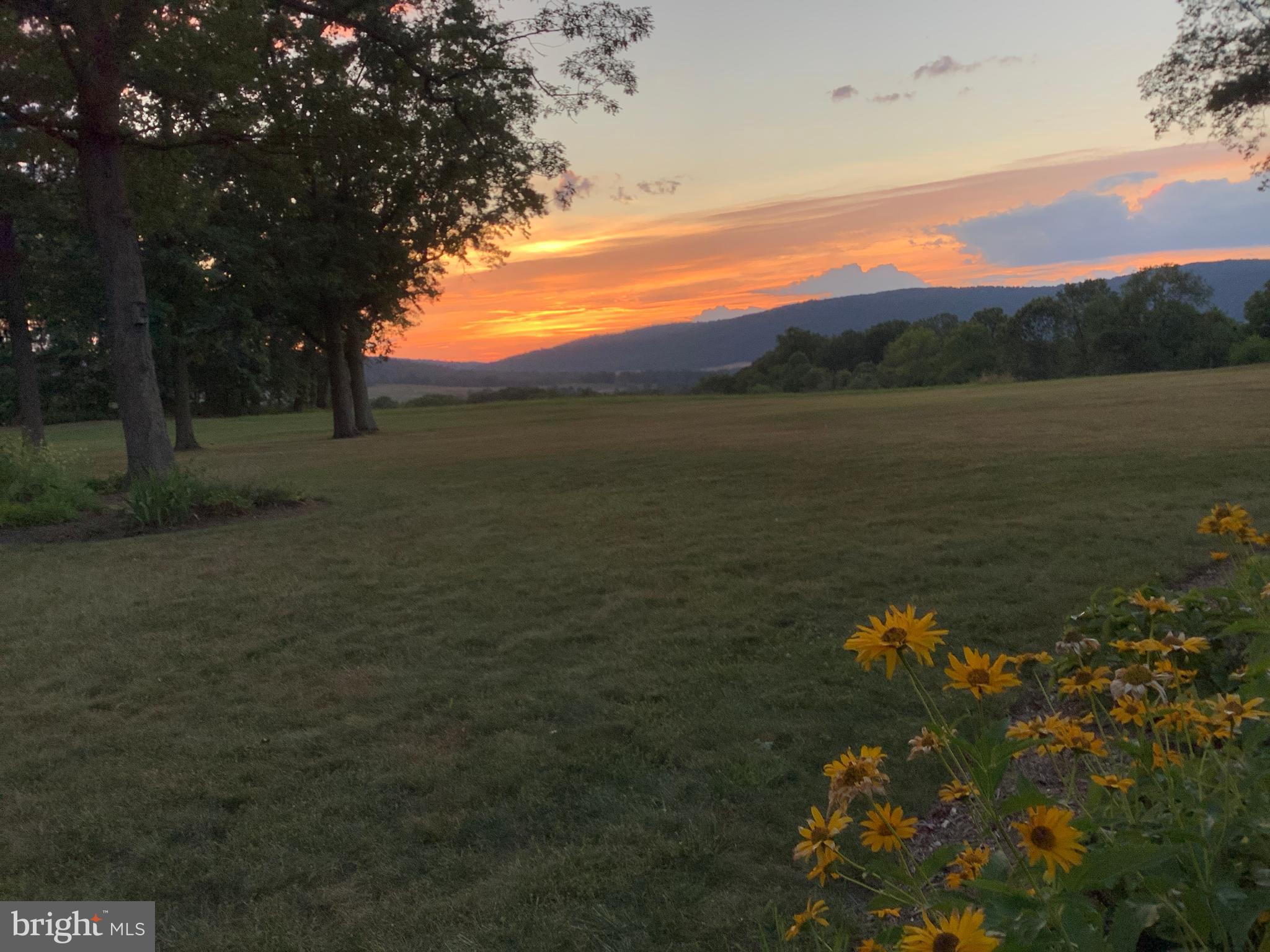 1276 Delaplane Grade Road Upperville, VA 20184 - Photo 50 of 57 Gallery Image 50