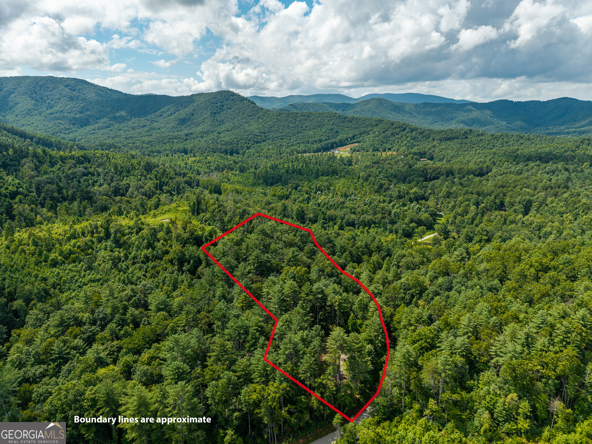 0 Higdon Creek Road Blue Ridge, GA 30513 - Photo 43 of 48 Gallery Image 43