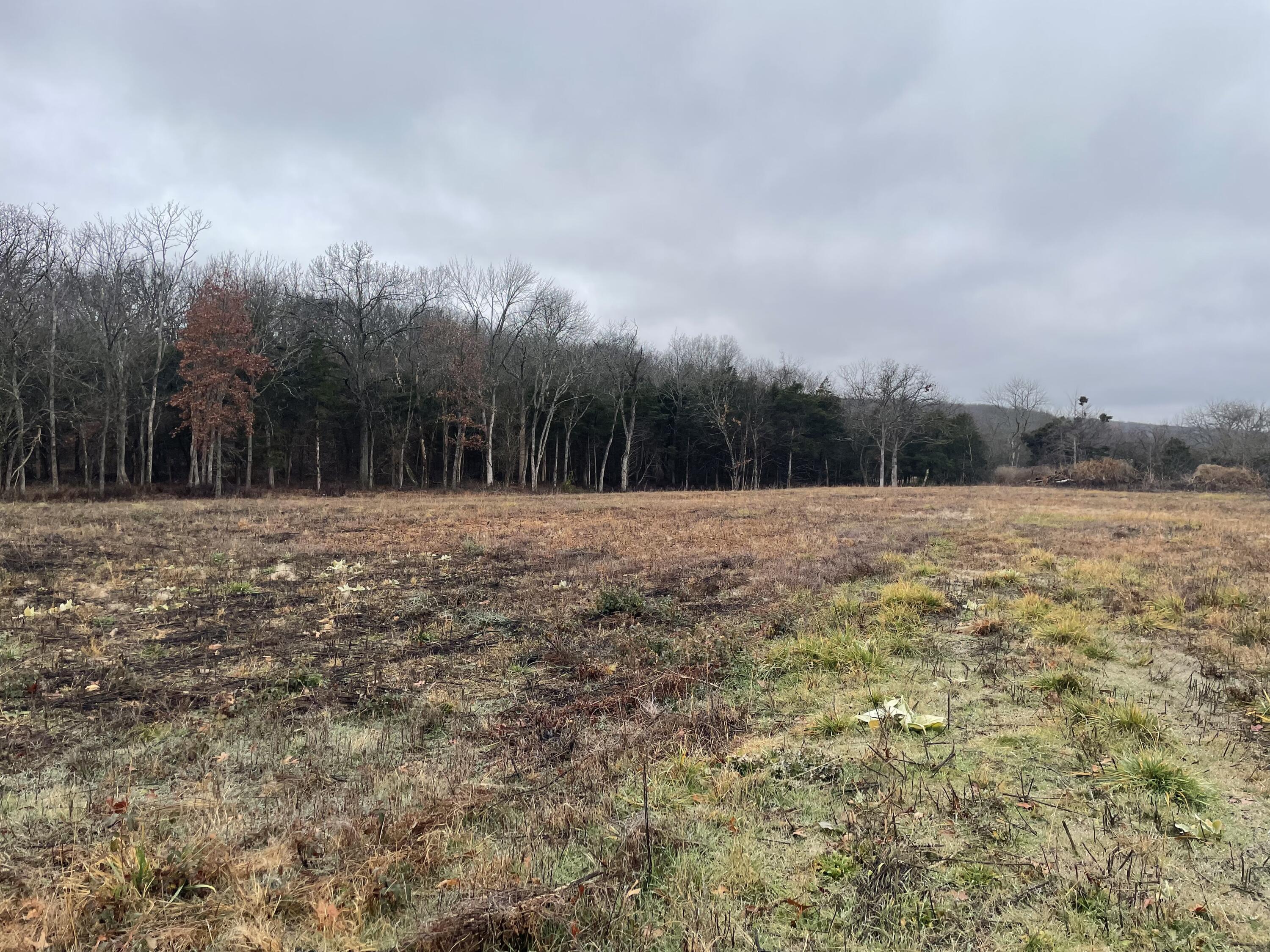 15550 South 1371st Road Stockton, MO 65785 - Photo 1 of 1 IMG_3523