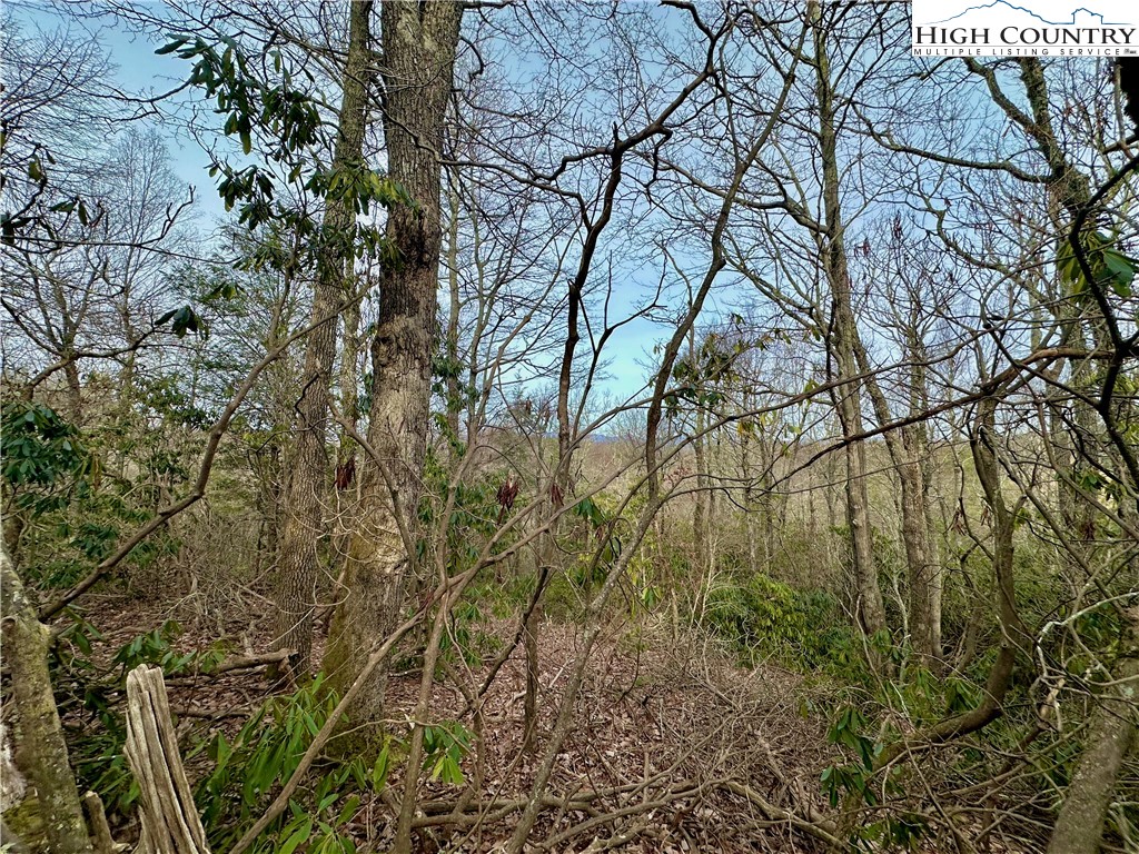 Don Hayes Road Boone, NC 28607 - Photo 14 of 26 Gallery Image 14