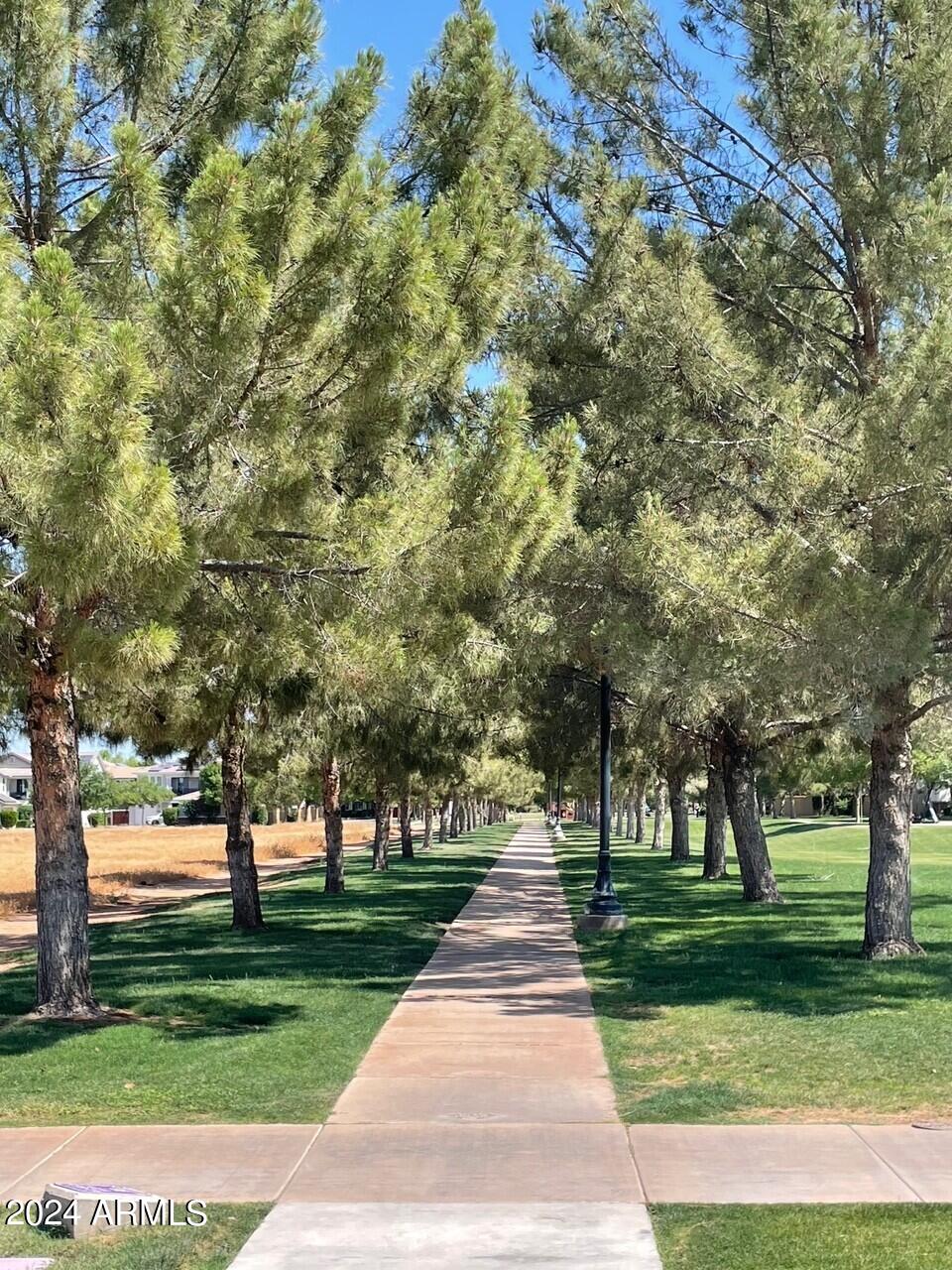 2854 East Appaloosa Road Gilbert, AZ 85296 - Photo 63 of 69 treetrail