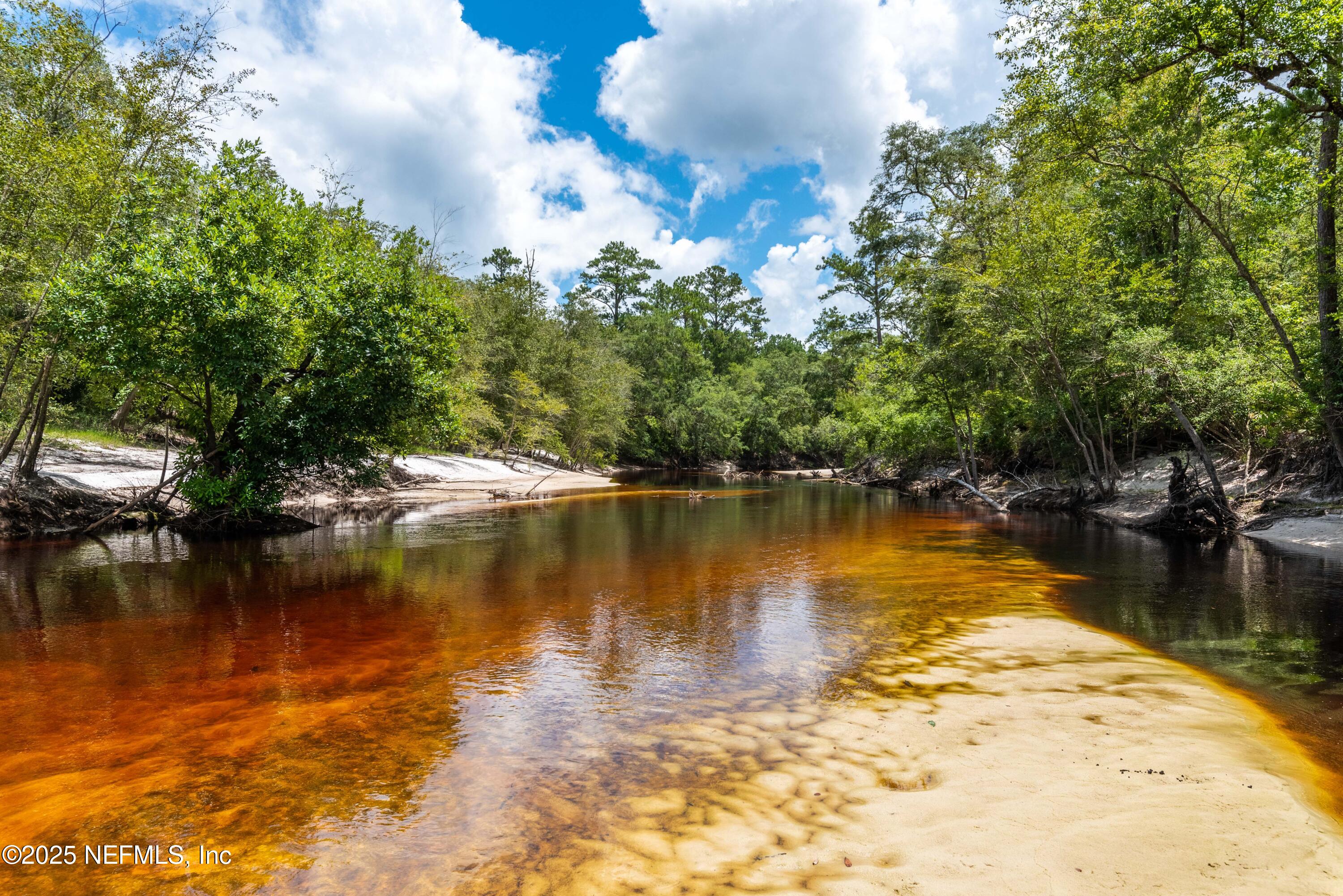 761 Steel Bridge Road Macclenny, FL 32063 - Photo 1 of 19 RIVER