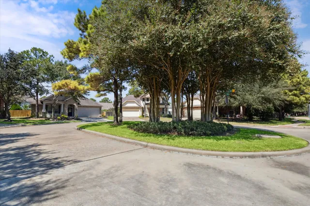 a view of a park with large trees