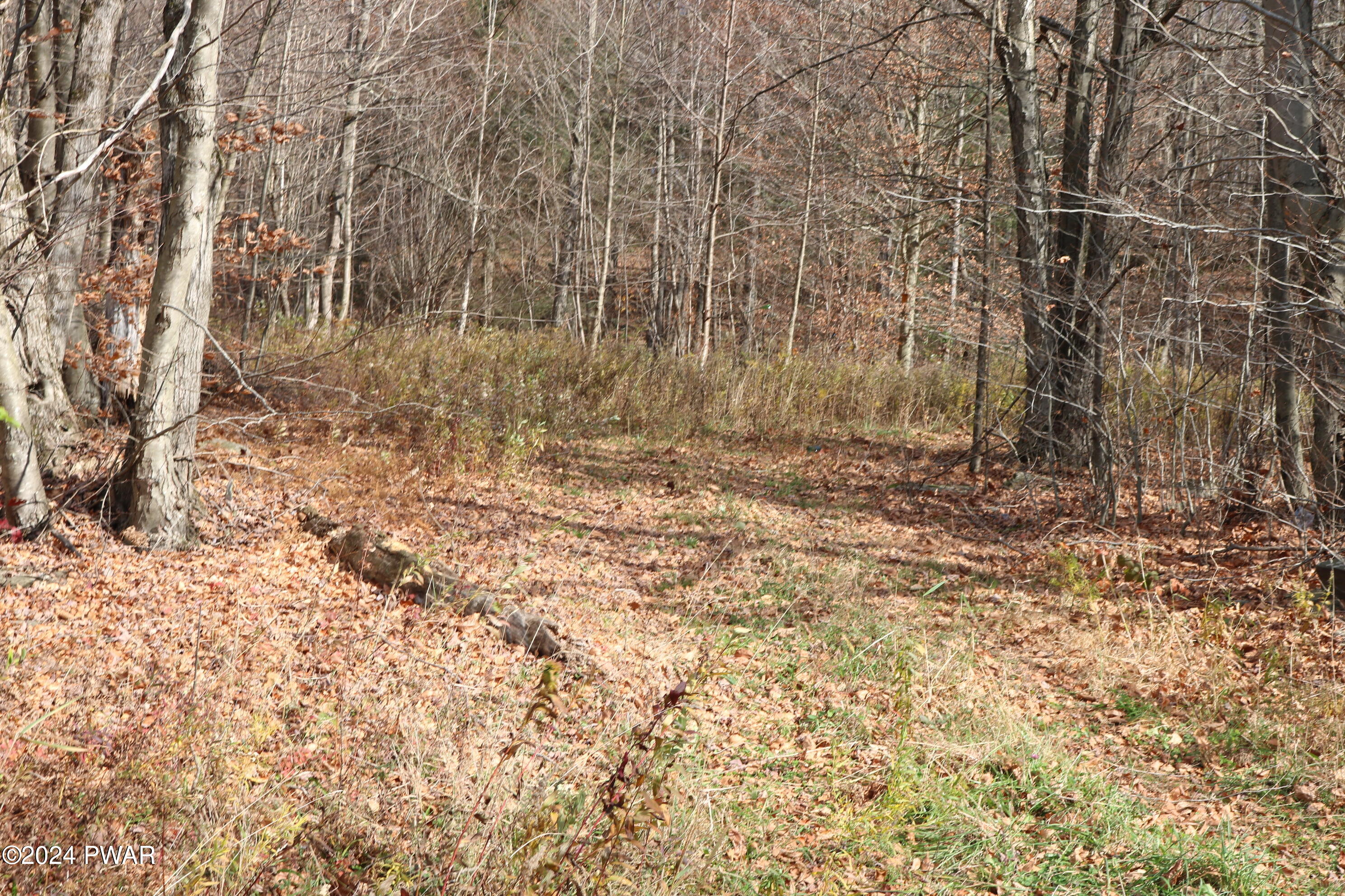0 Rose Hill Road Lake Como, PA 18437 - Photo 8 of 10