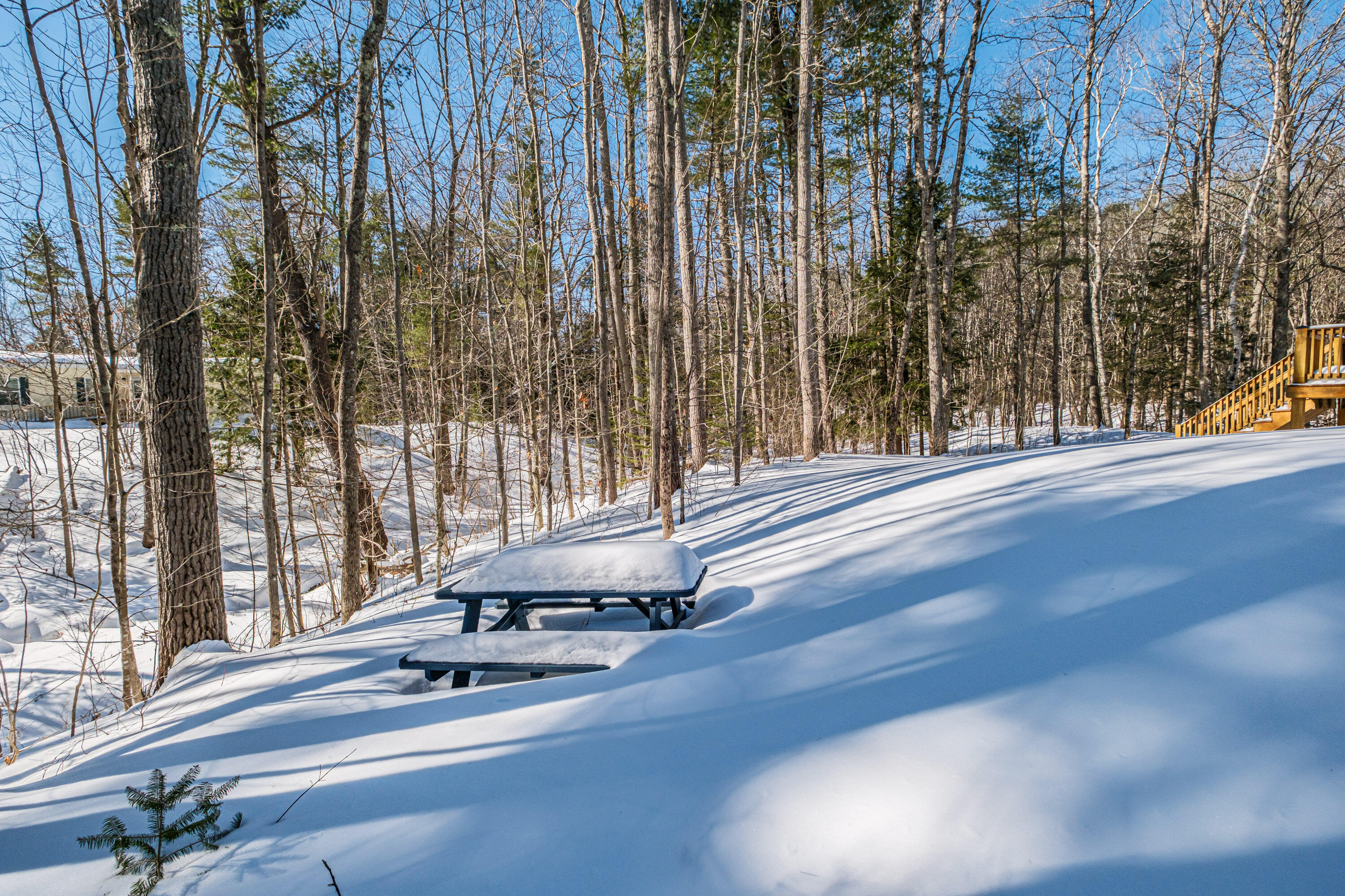 10 Prout Road Freeport, ME 04032 - Photo 48 of 50 20260227gp-61047