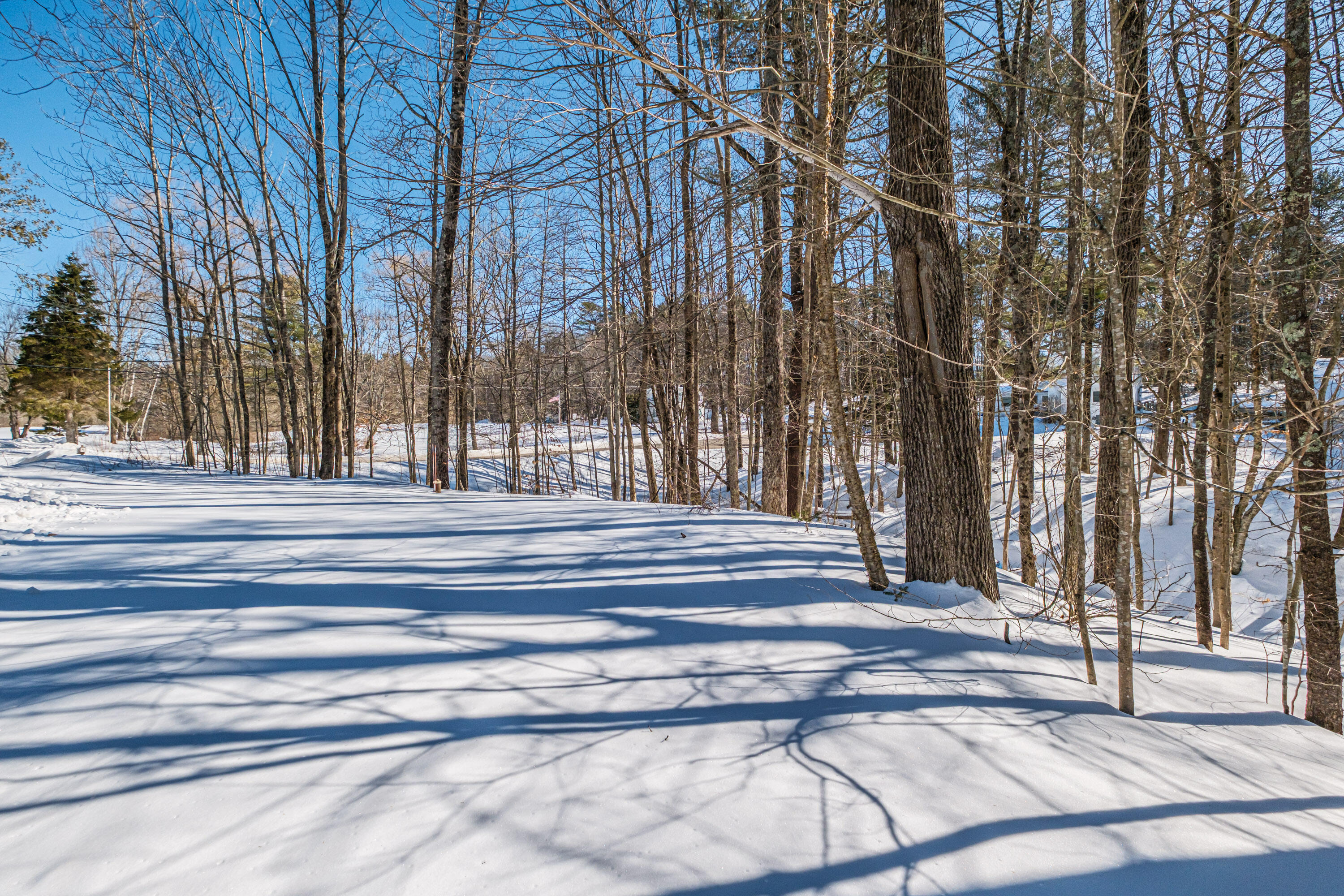 10 Prout Road Freeport, ME 04032 - Photo 50 of 50 20260227gp-61049