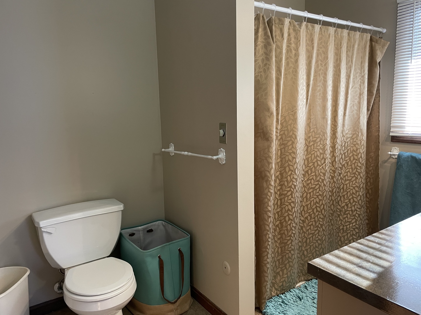 5650 West Bluff Road Morris, IL 60450 - Photo 24 of 53 a white toilet sitting next to a shower curtain