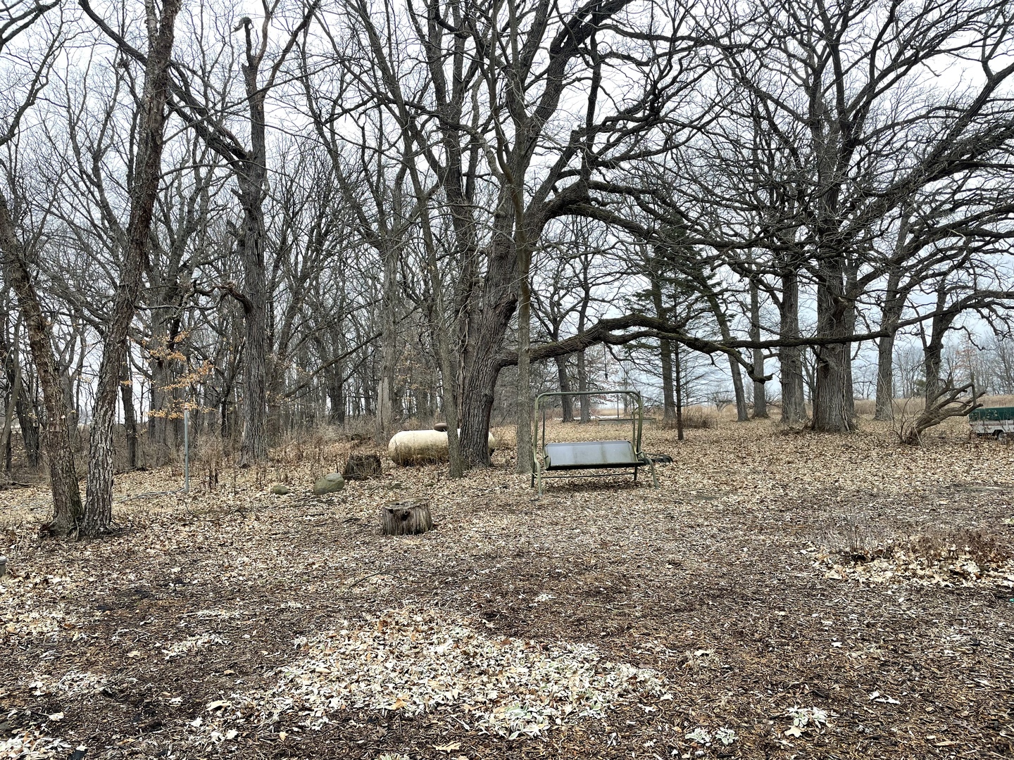 5650 West Bluff Road Morris, IL 60450 - Photo 6 of 53 a backyard of a house with lots of green space