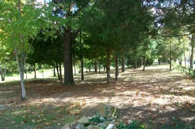 147 Cedar Park Road Centerville, TN 37033 - Photo 11 of 13 View of side yard
