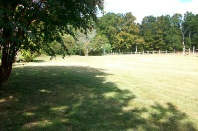 147 Cedar Park Road Centerville, TN 37033 - Photo 12 of 13 Back yard