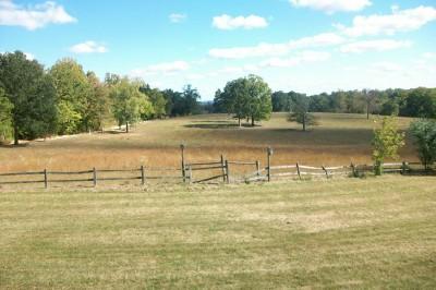 147 Cedar Park Road Centerville, TN 37033 - Photo 10 of 13 View from back deck