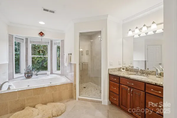 a bathroom with a double vanity sink large mirror and a bathtub