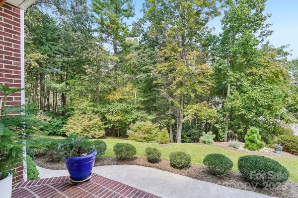 a view of a garden with a potted plant