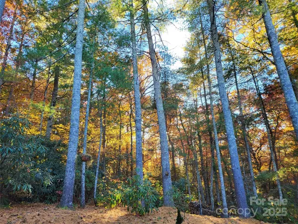 $950,000 | 15 Madelyn Lane, Fairview, NC 28730