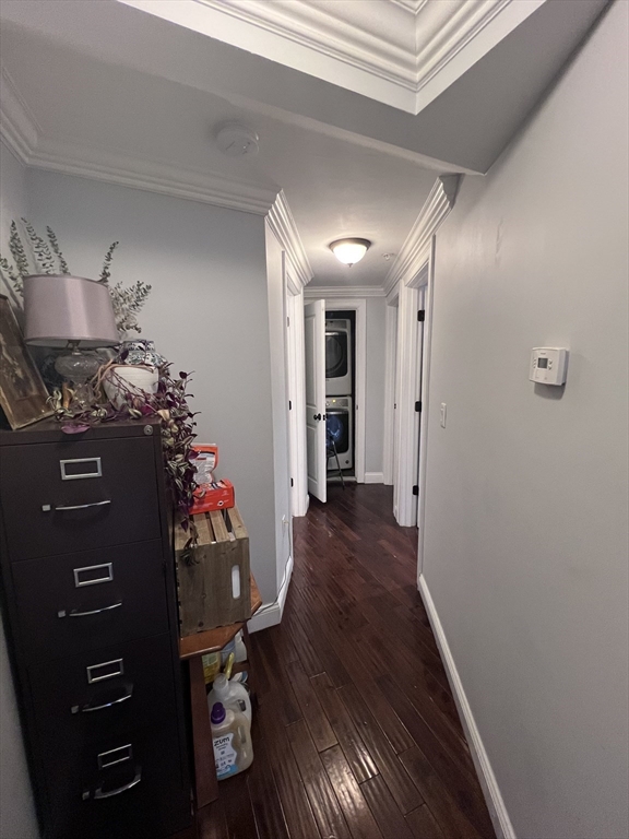 142 Centre Street, Unit 1 Boston, MA 02119 - Photo 10 of 11