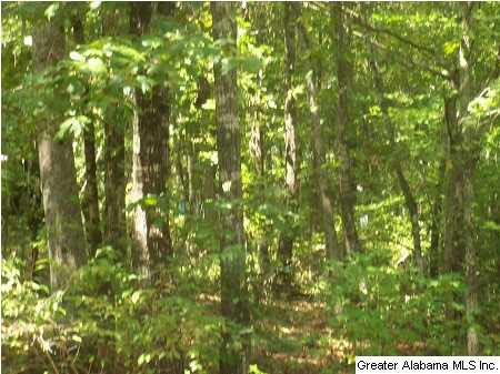 75 County Road 93 Verbena, AL 36091 - Photo 21 of 21