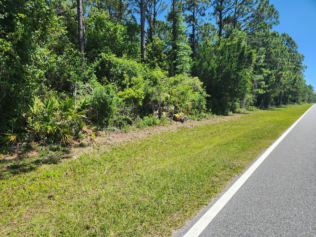 979 CC Land Road Eastpoint, FL 32328 - Photo 4 of 5 Gallery Image 4