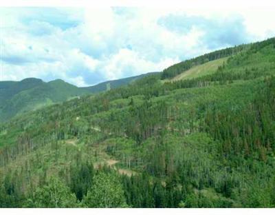1390 Buffehr Creek Road, Unit 3 Vail, CO 81657 - Photo 1 of 1 Primary Photo