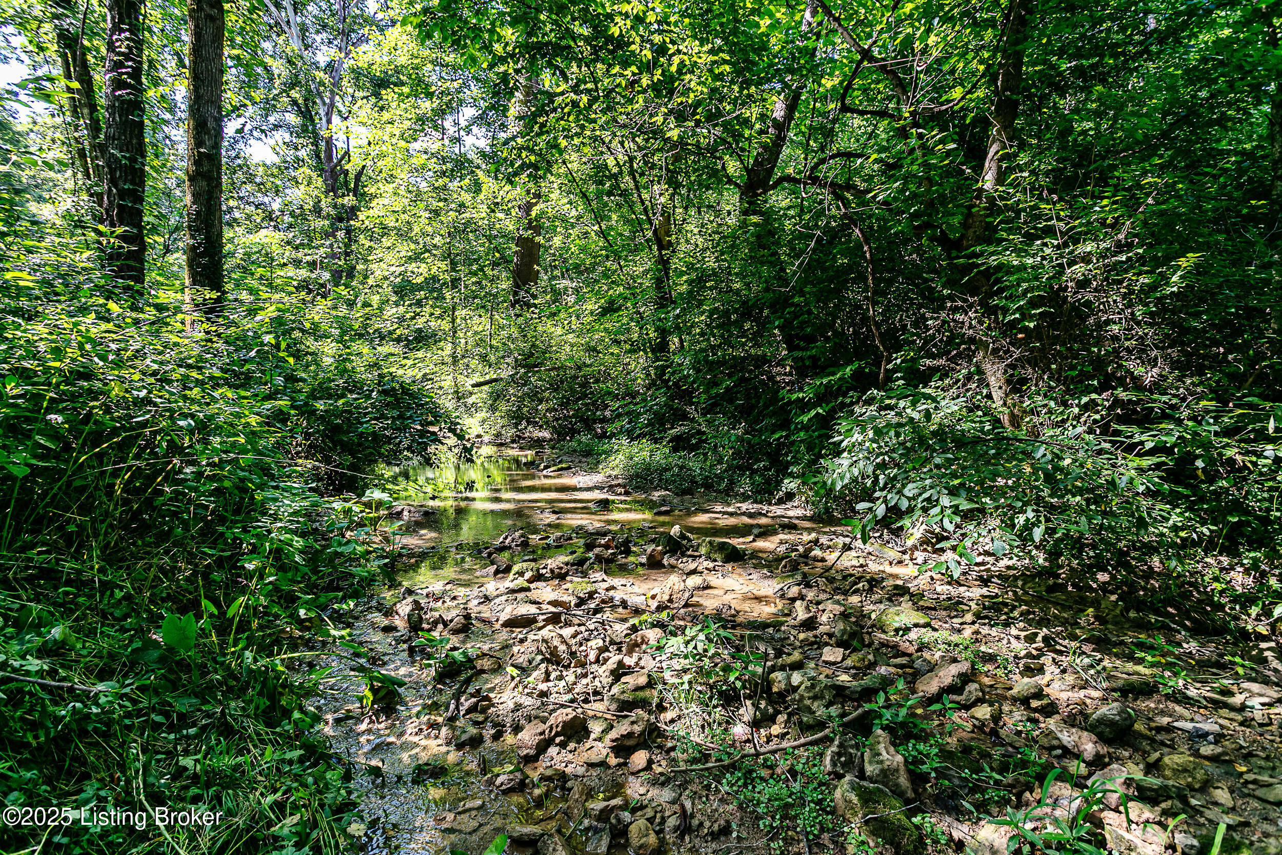 1695 Boston Road Bardstown, KY 40004 - Photo 40 of 40 1695BostonRd-13