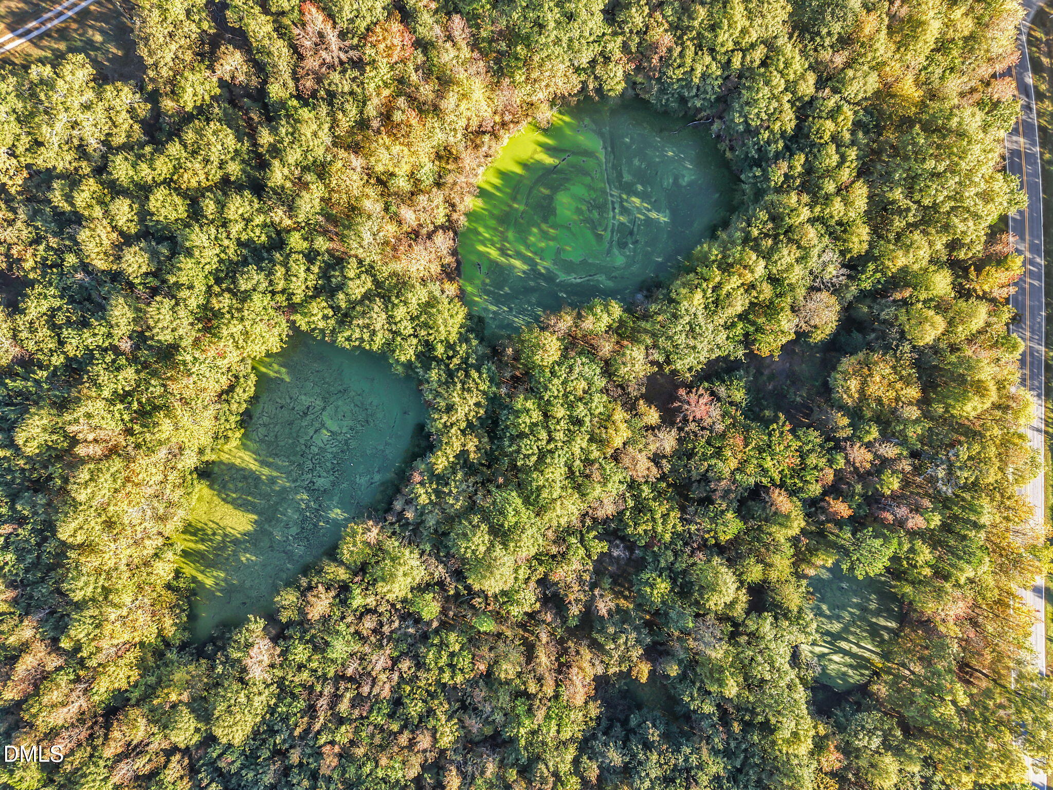 8794 Old 421 Road Julian, NC 27283 - Photo 22 of 24 a view of a tree with a yard