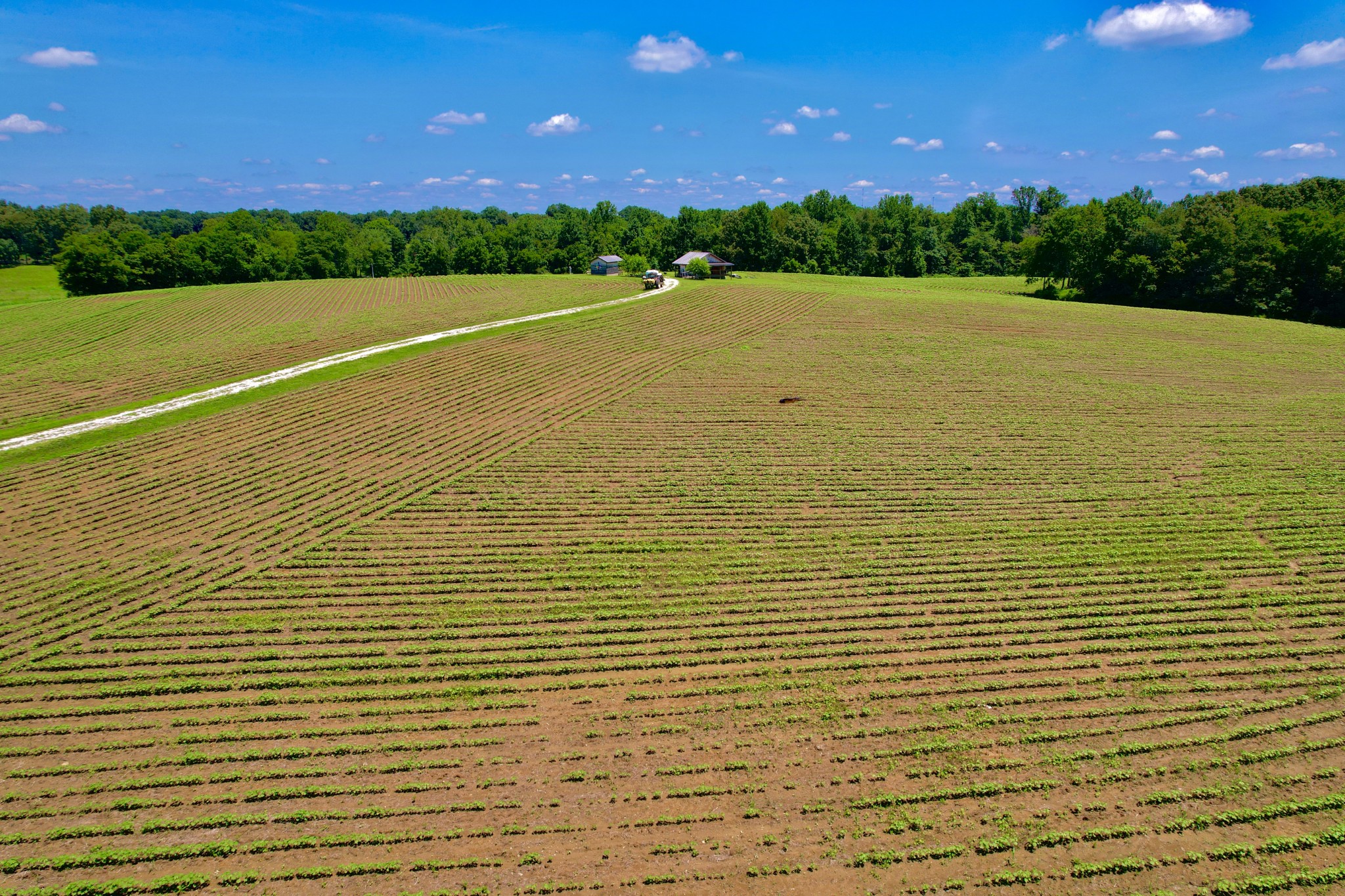 8 Lambs Ferry Road Leoma, TN 38468 - Photo 43 of 53