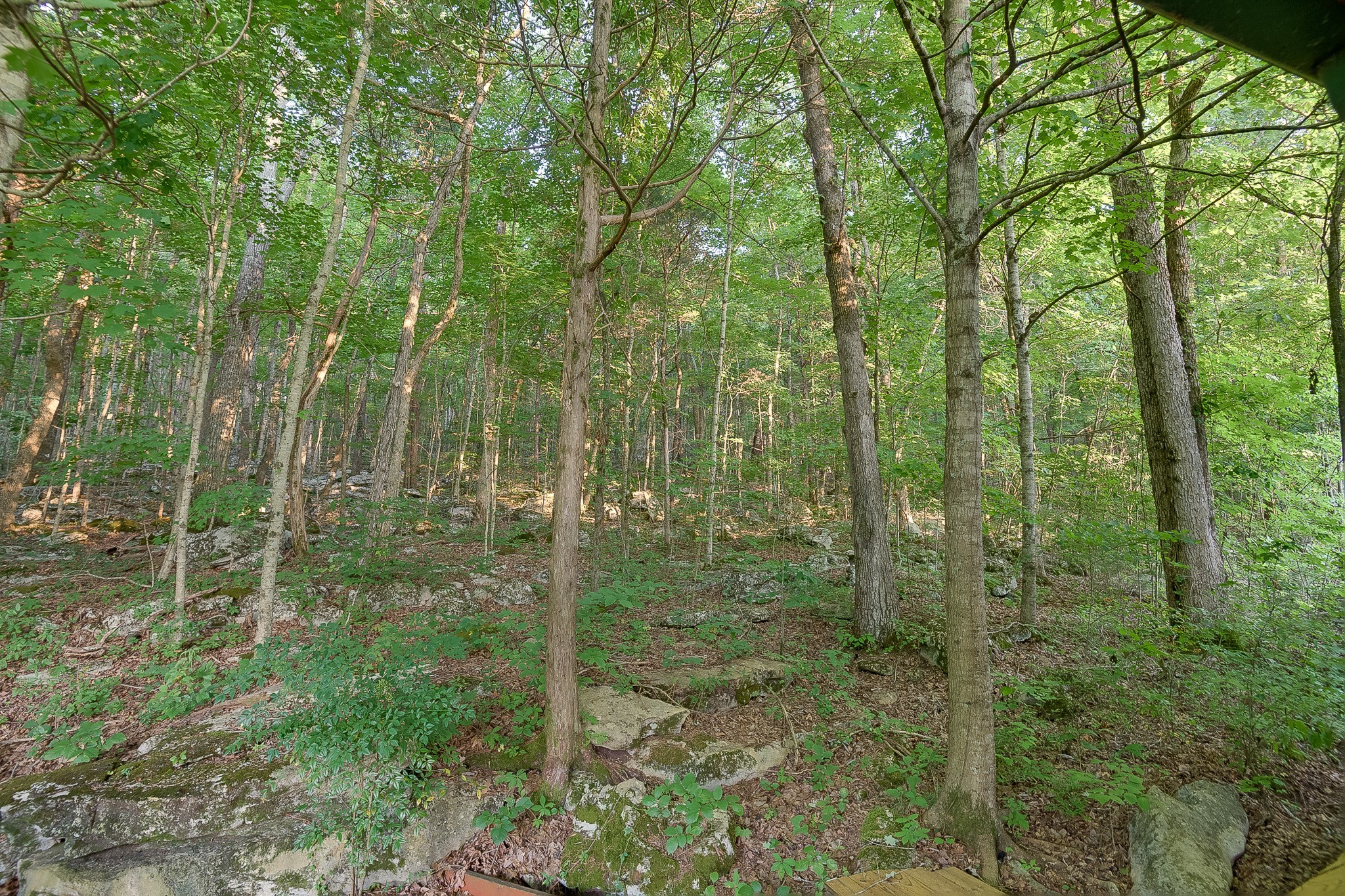 658 Rieder Lane Pelham, TN 37366 - Photo 48 of 50
