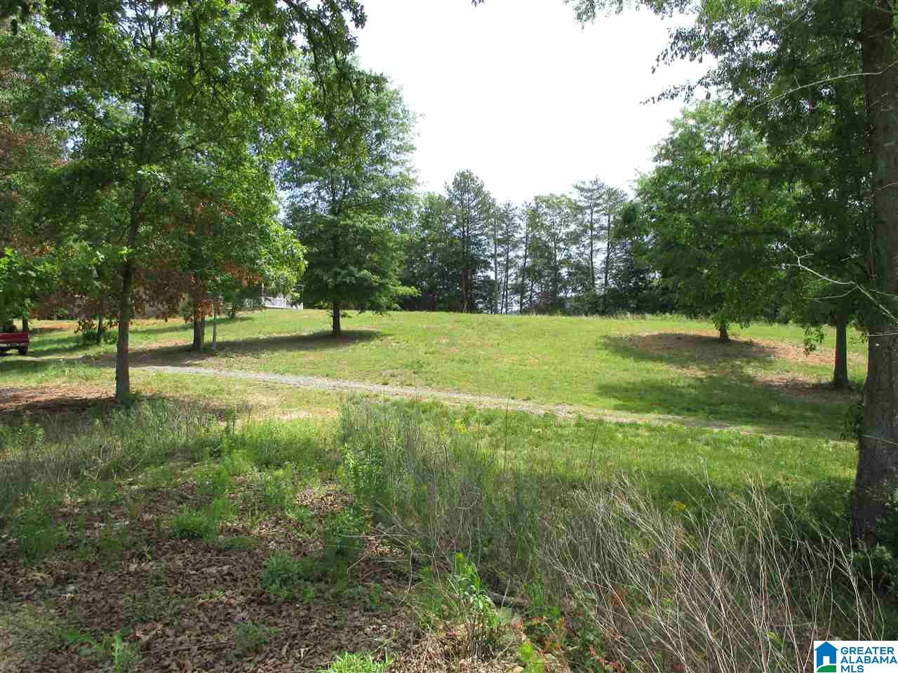 14741 Duck Springs Road Attalla, AL 35954 - Photo 16 of 41