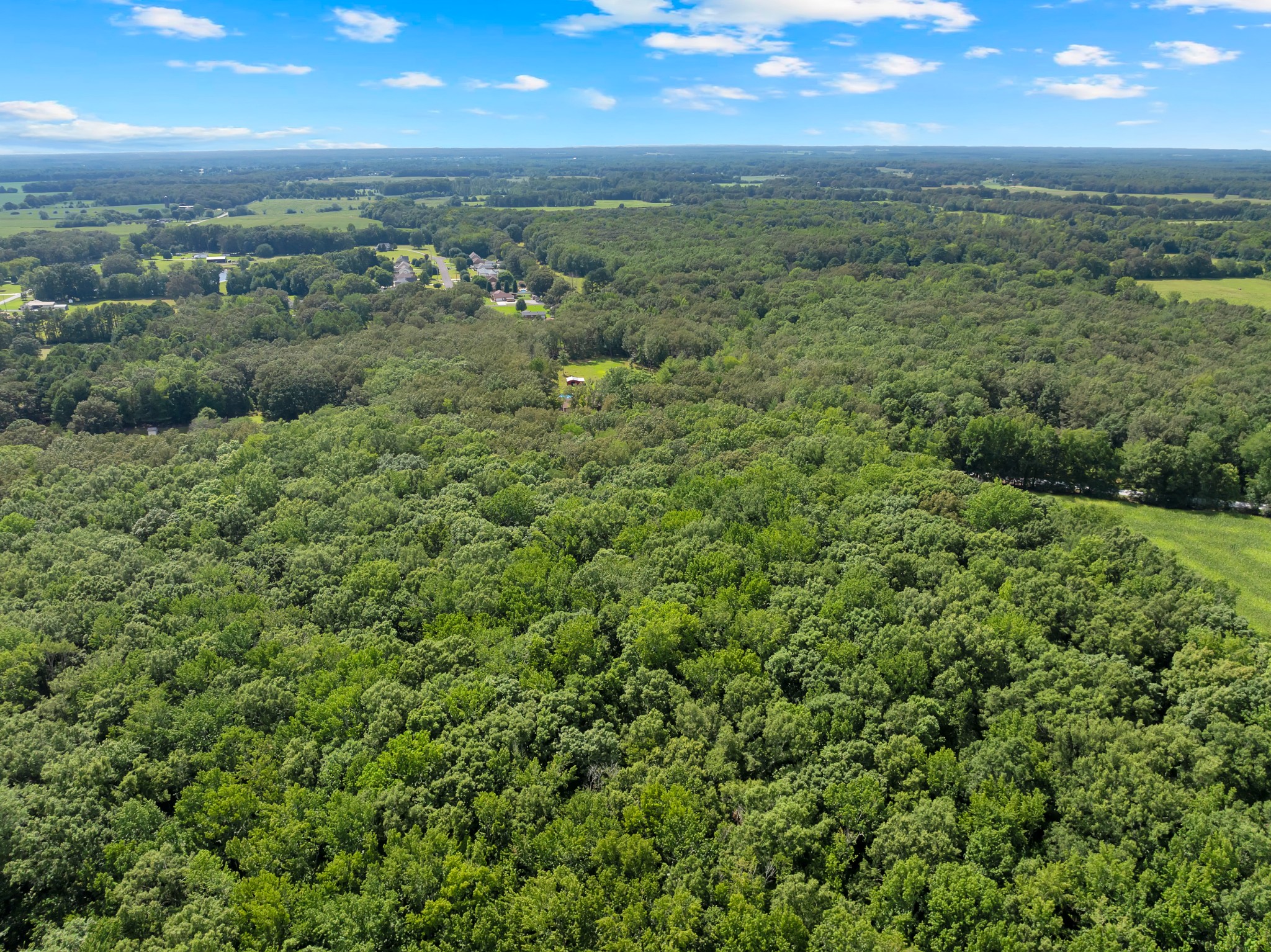 2635 Pete Sain Road Manchester, TN 37355 - Photo 46 of 52 a view of a green field with lots of bushes