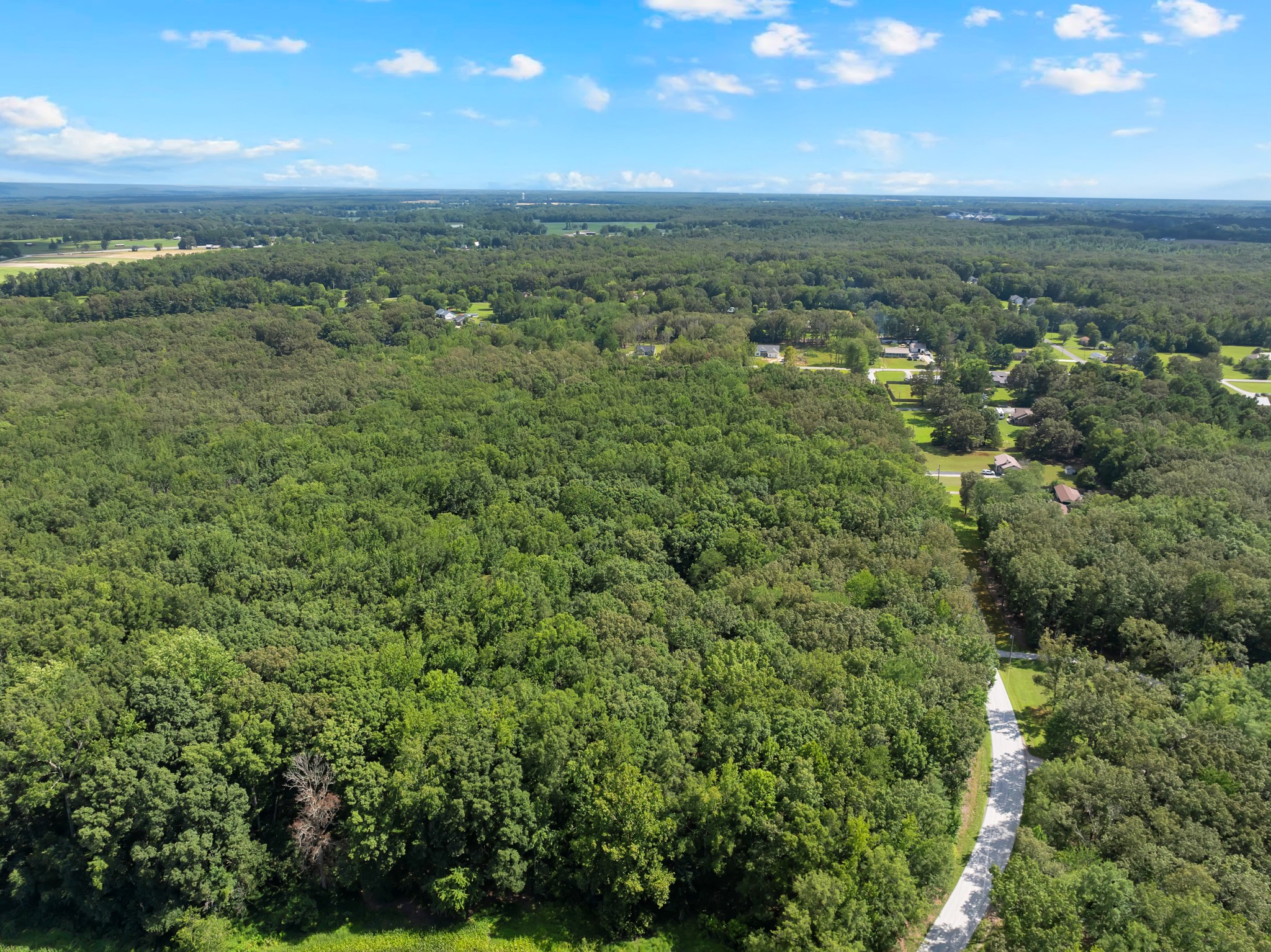 2635 Pete Sain Road Manchester, TN 37355 - Photo 48 of 52 a view of a city with lush green forest