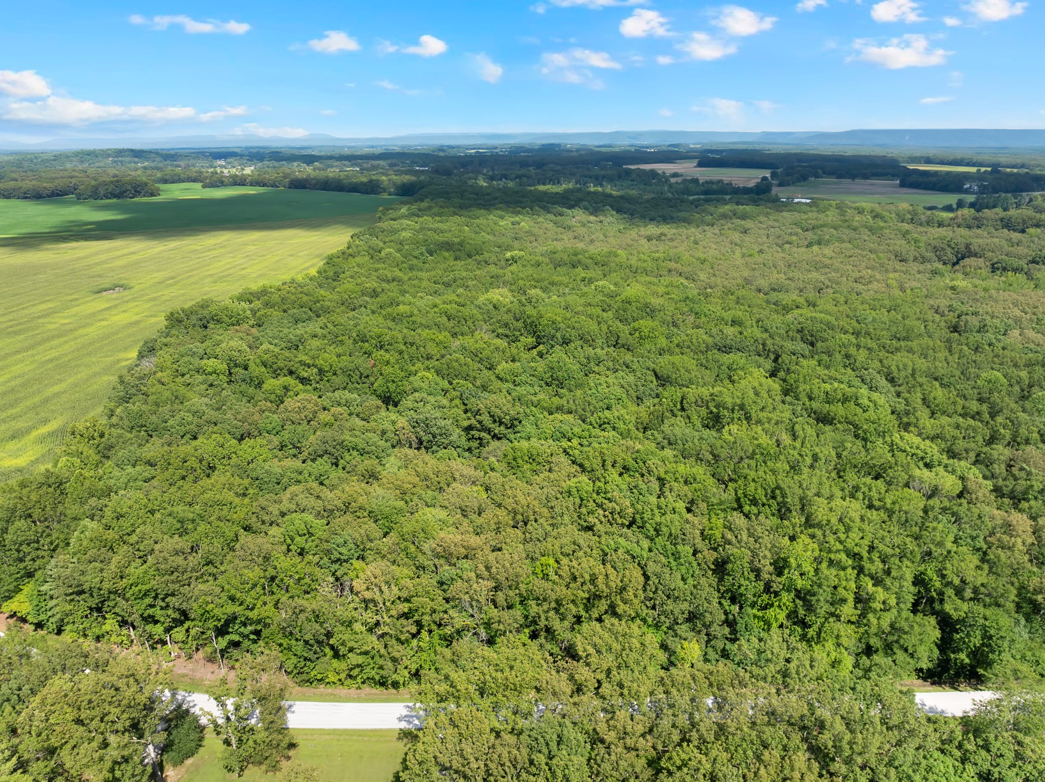 2635 Pete Sain Road Manchester, TN 37355 - Photo 50 of 52 a view of a lake view