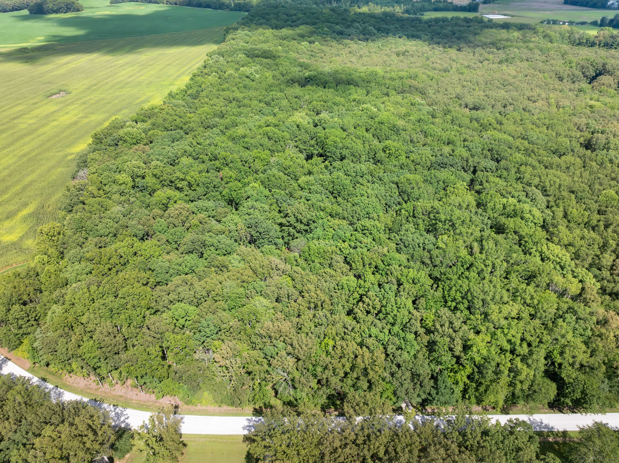 2635 Pete Sain Road Manchester, TN 37355 - Photo 51 of 52 a view of a big yard with plants and large trees