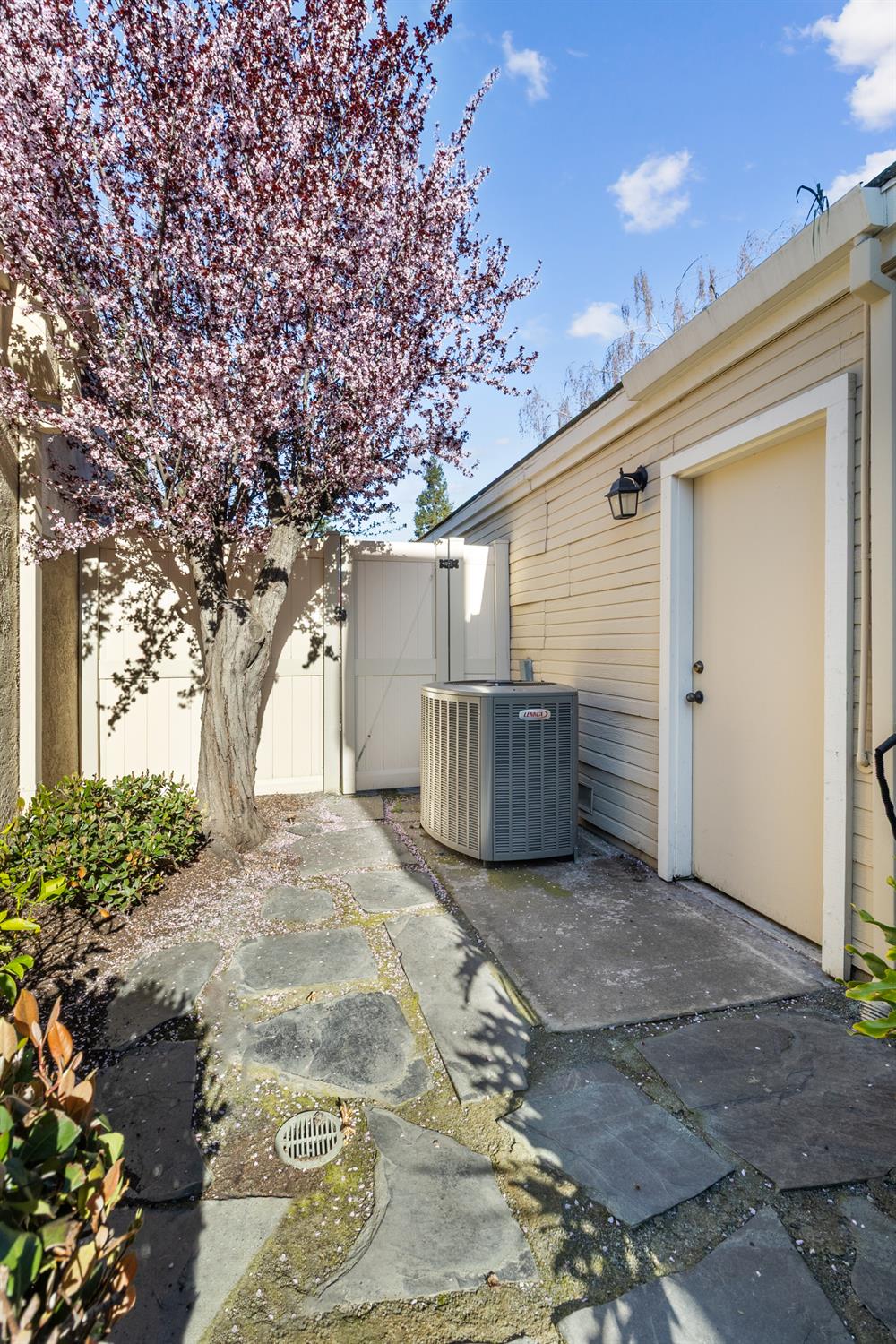 1153 Copper Lantern Court Modesto, CA 95355 - Photo 27 of 37 a view of backyard of house