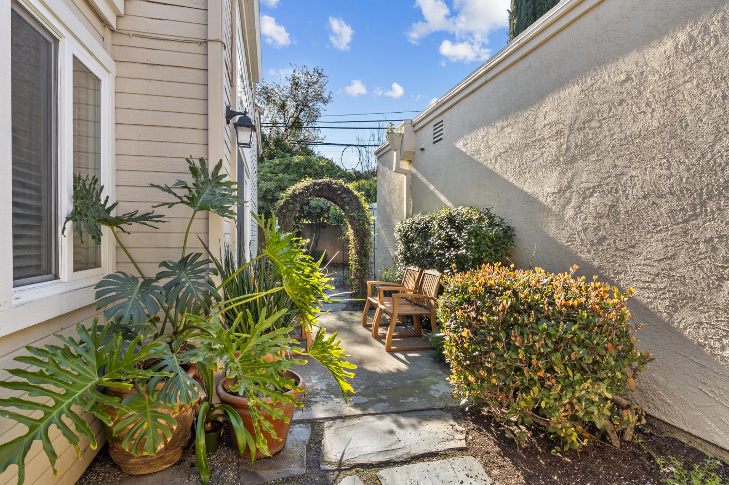 1153 Copper Lantern Court Modesto, CA 95355 - Photo 28 of 37 a plant is in front of a house