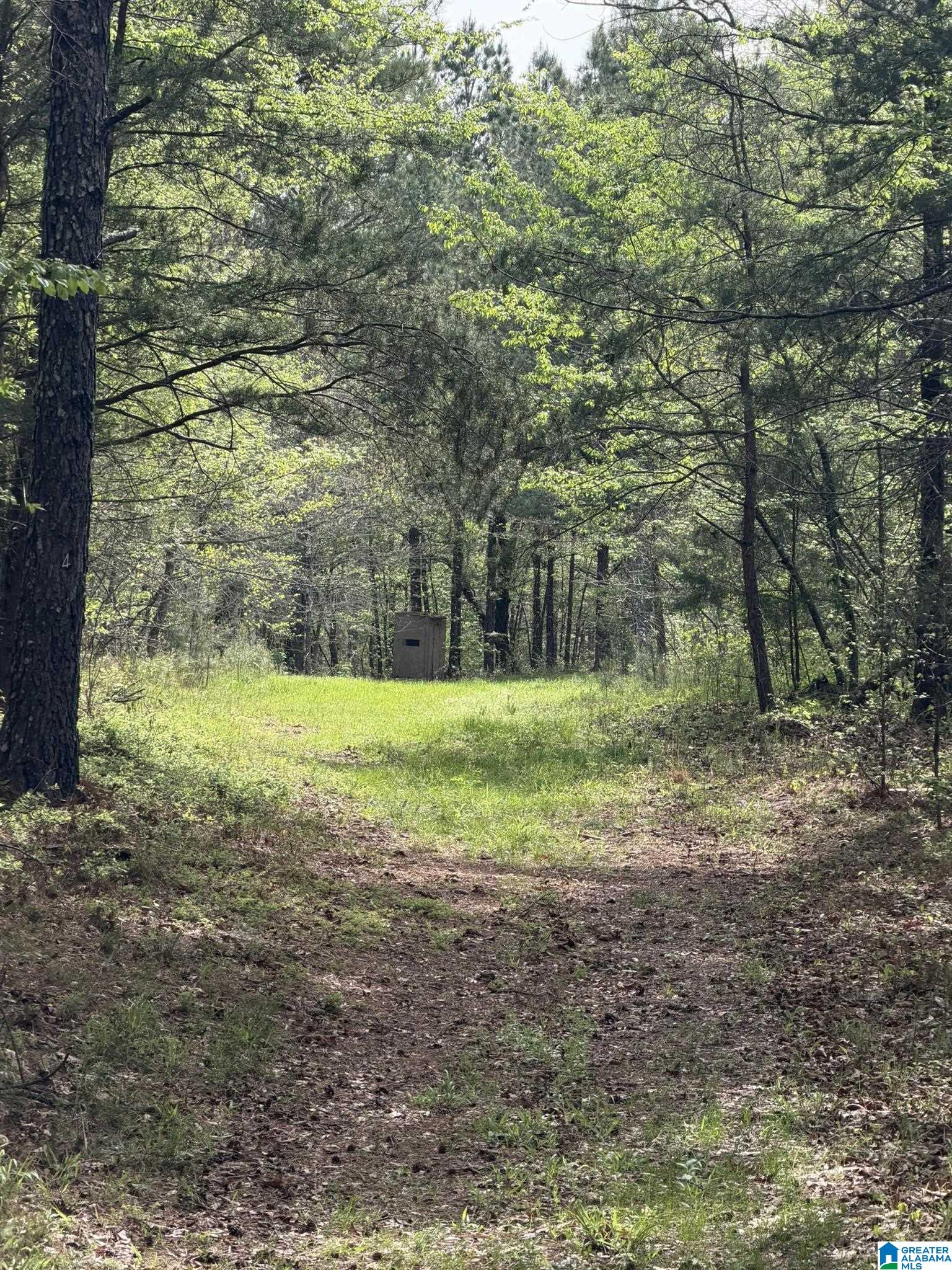 2121 Center Hill Road Trafford, AL 35172 - Photo 89 of 100
