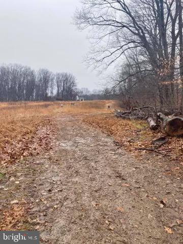 1631 Ingleside Road Forest Hill, MD 21050 - Photo 5 of 5 Gallery Image 5