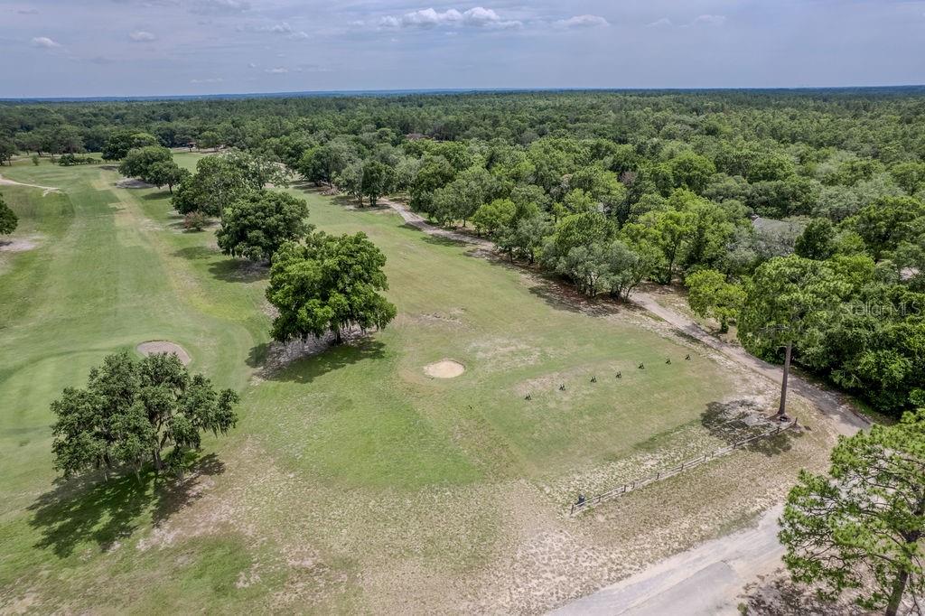 20811 Southwest 81st Loop Dunnellon, FL 34431 - Photo 73 of 89