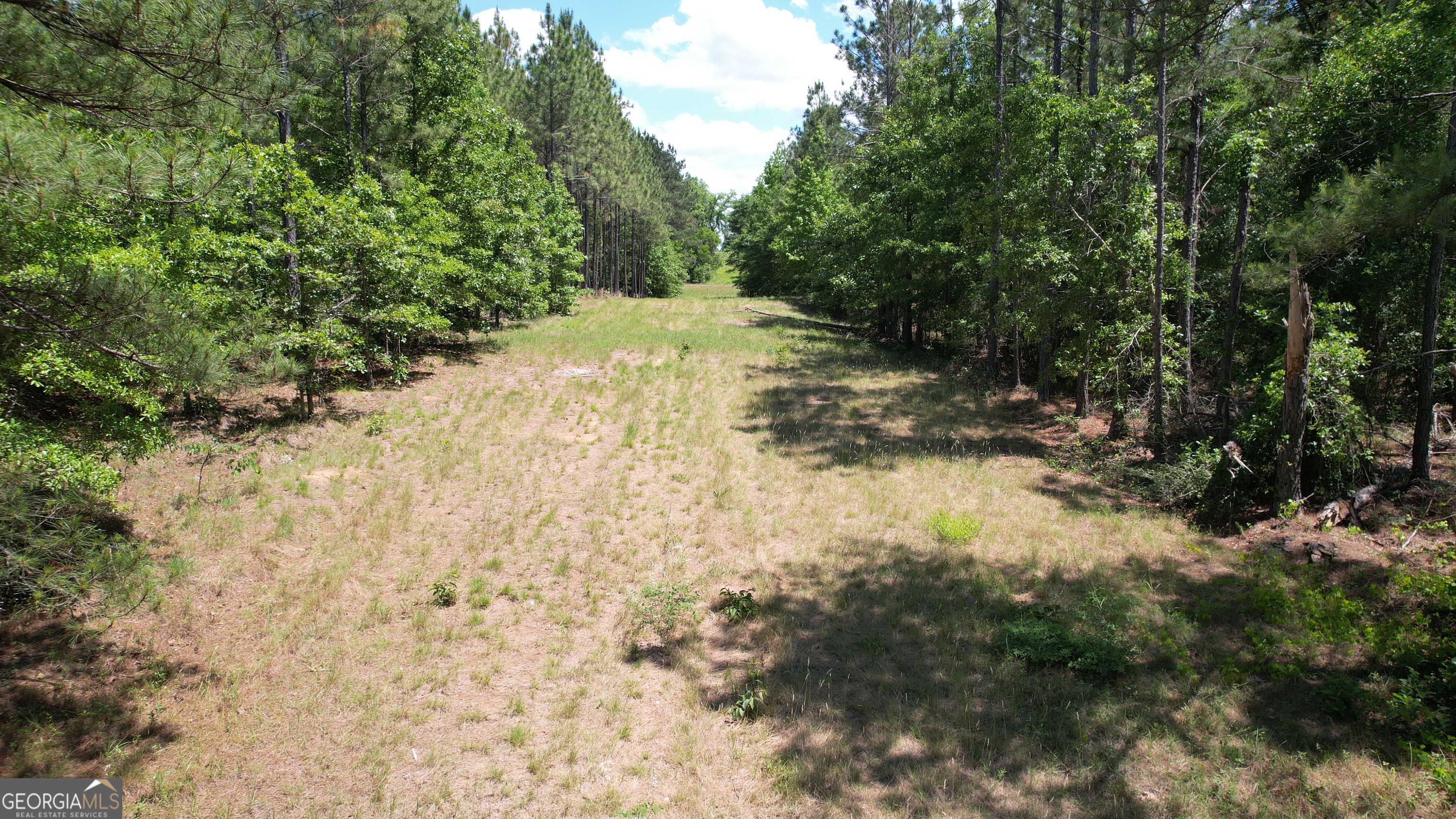 Rose Lot Dublin Eastman Road Dexter, GA 31019 - Photo 3 of 17