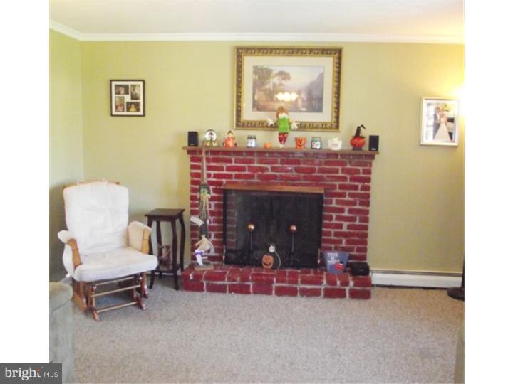 536 Durham Road Langhorne, PA 19047 - Photo 6 of 24 Fireplace