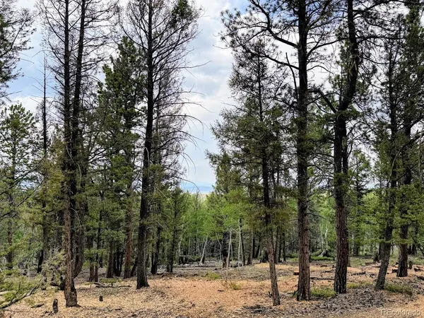 $69,500 | 1789 Bellows Road, Hartsel, CO 80449