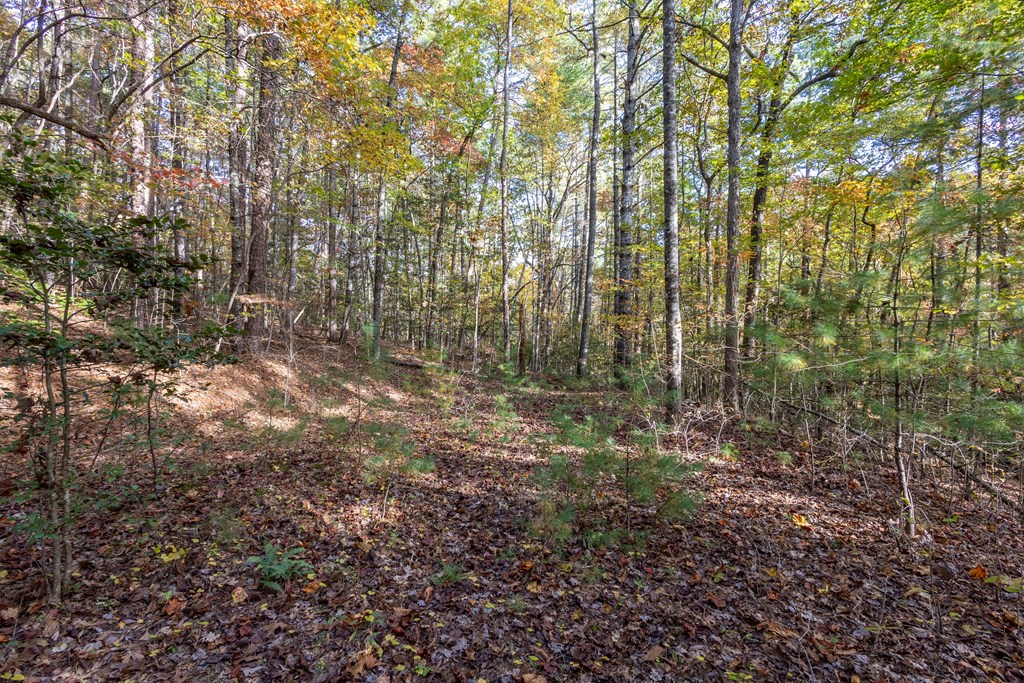 300 Springbrook Lane Murphy, NC 28906 - Photo 29 of 39 Gallery Image 29