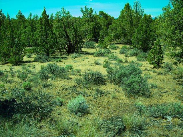 18299 Southwest Mount Adams Loop Powell Butte, OR 97753 - Photo 4 of 14 Additional Photo