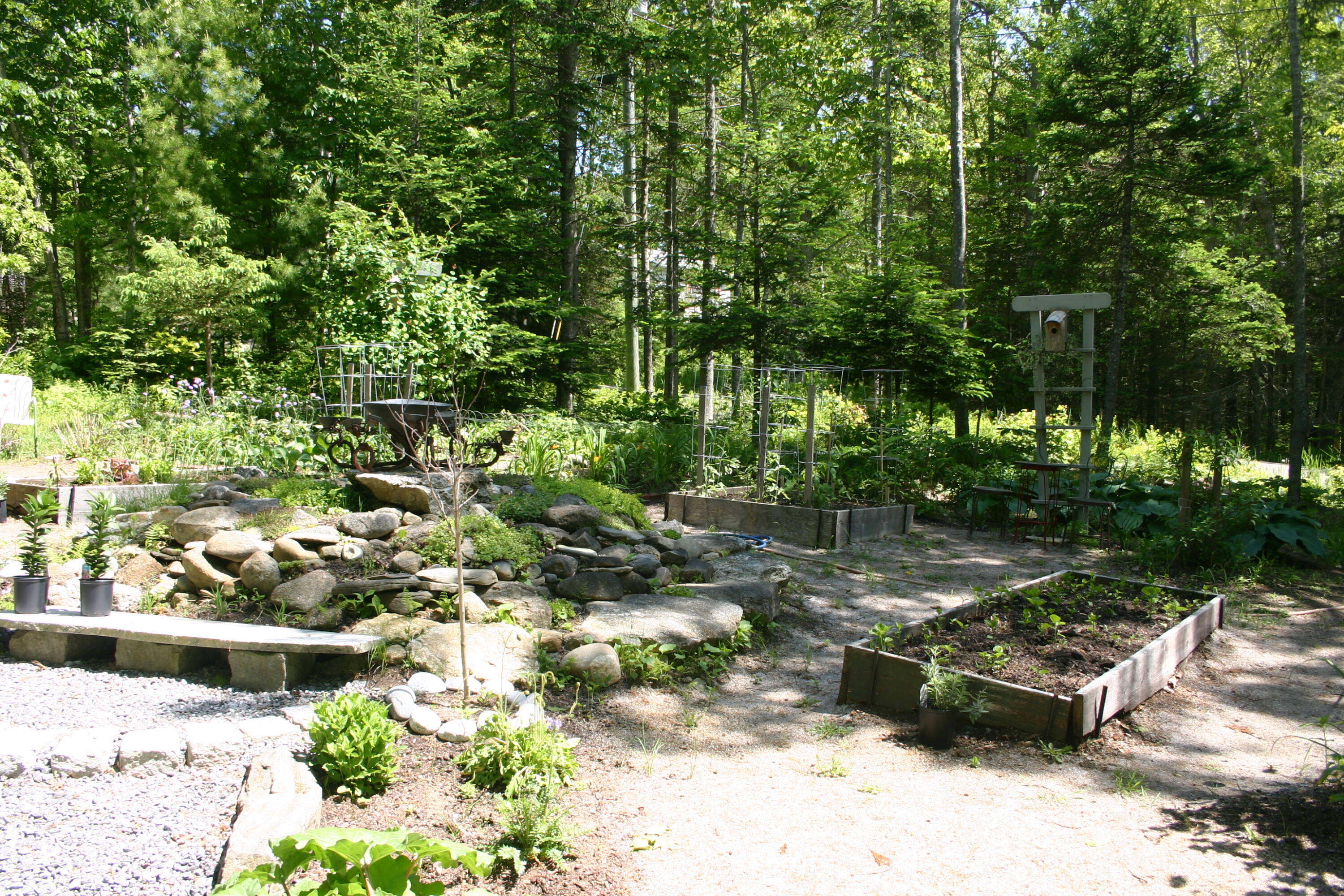 36 Granite Hill Road Pemaquid, ME 04558 - Photo 99 of 134 IMG_0446