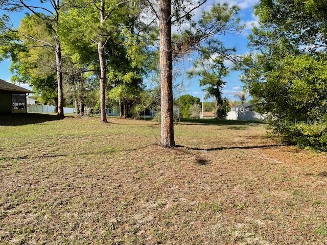 Highland Trail Lady Lake, FL 32159 - Photo 2 of 5 a view of a yard with plants and trees