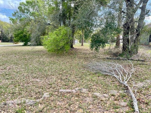 Highland Trail Lady Lake, FL 32159 - Photo 4 of 5 a view of a yard with a tree