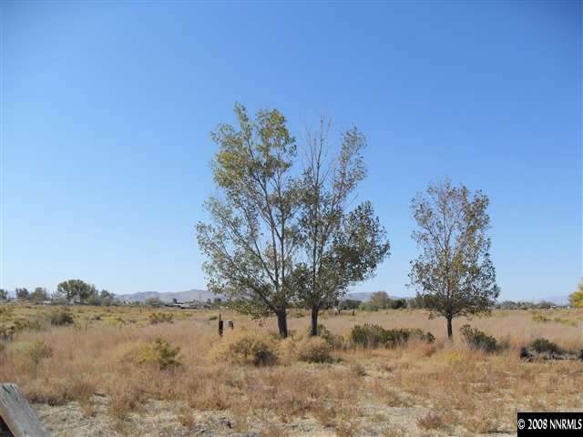 4100 Solias Road Fallon, NV 89406 - Photo 3 of 6 Photo 3