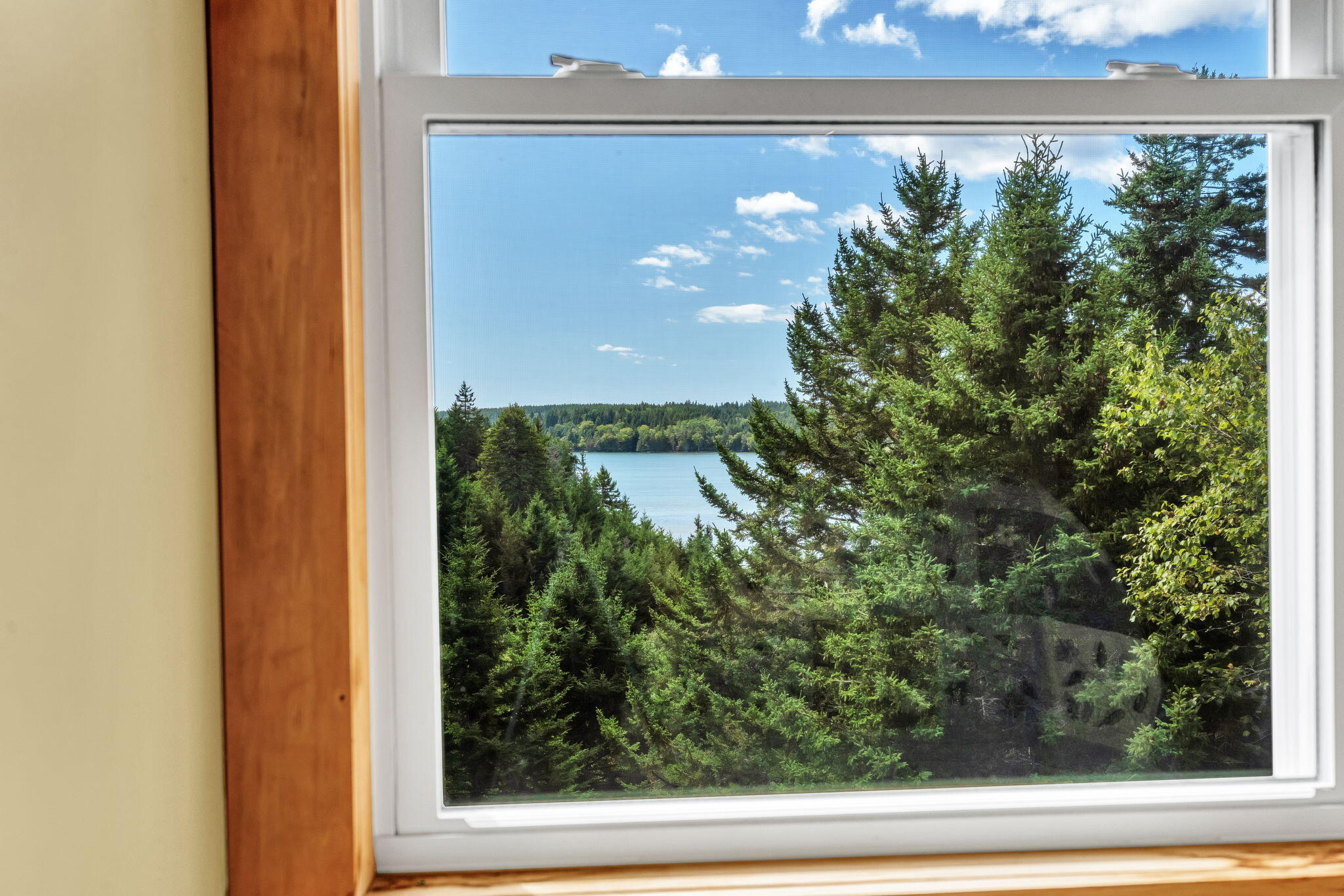 7 Minturn Road Swans Island, ME 04685 - Photo 21 of 48 7 Minturn (31)