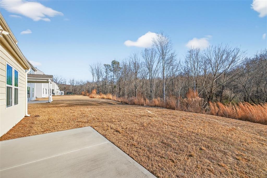 1576 Maston Road Auburn, GA 30011 - Photo 47 of 51