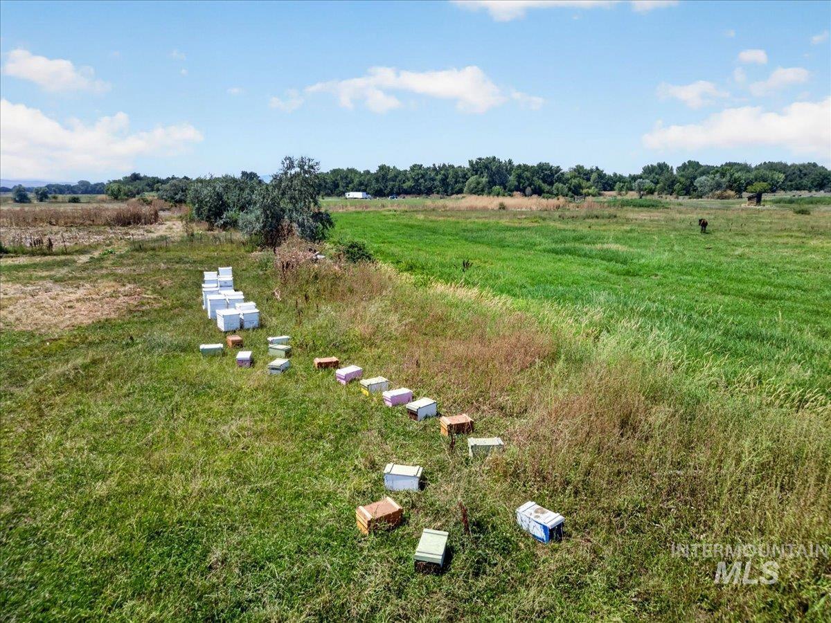 587 Cove Road Weiser, ID 83672 - Photo 26 of 30 Expansive agricultural land featuring a verdant field, mature trees, and a collection of apiaries
